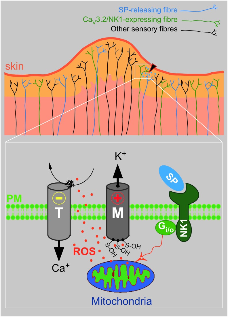 FIG. 11.