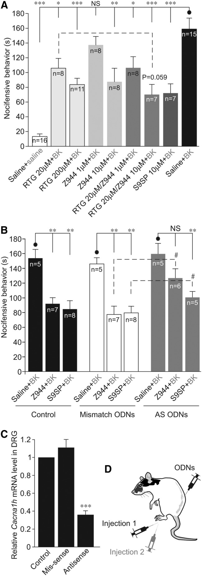 FIG. 10.