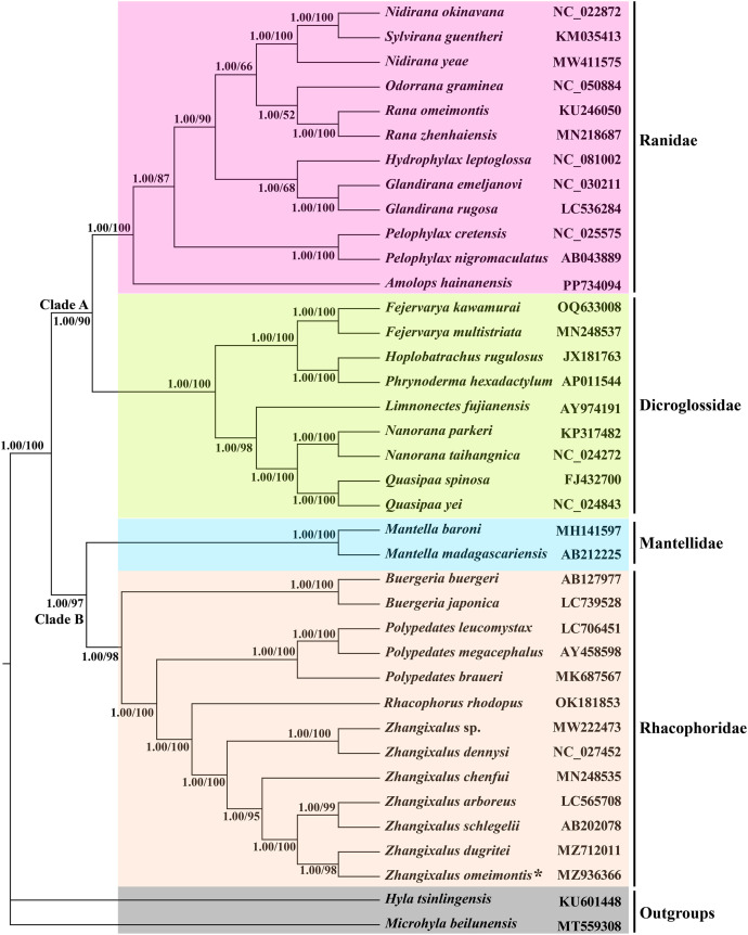 Fig. 2