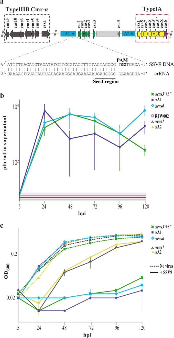 FIG 2 