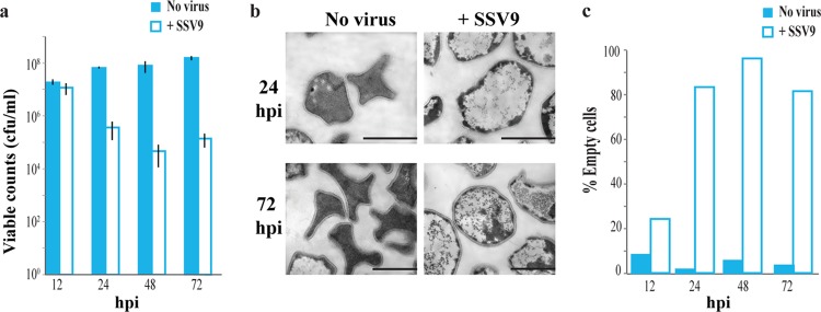 FIG 3 