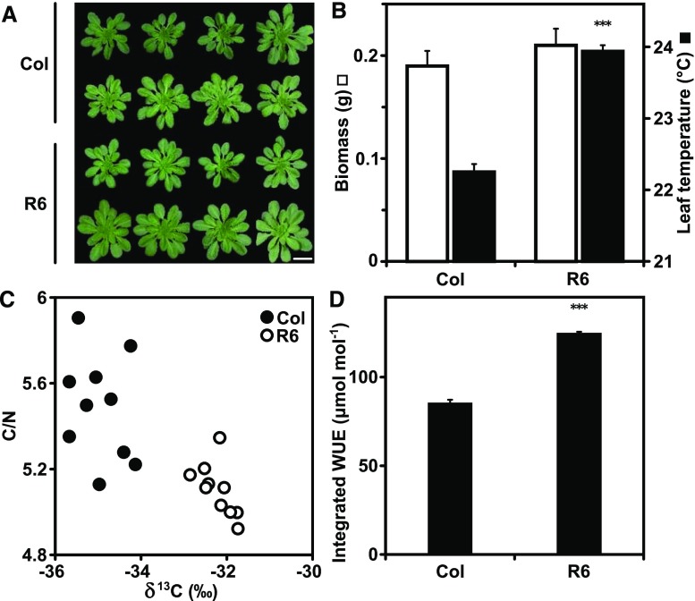 Figure 4.