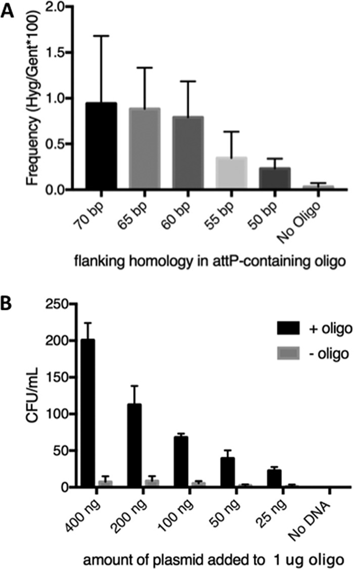 FIG 5