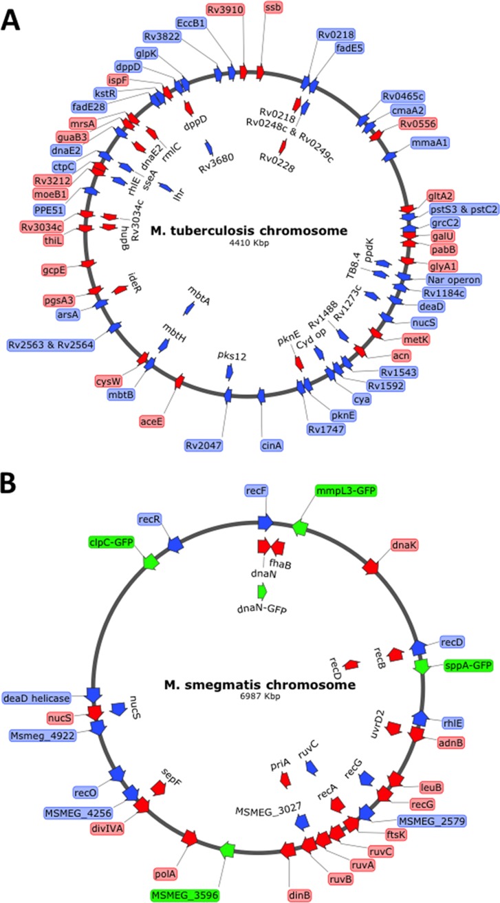 FIG 6