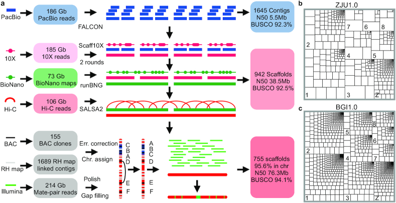 Figure 1: