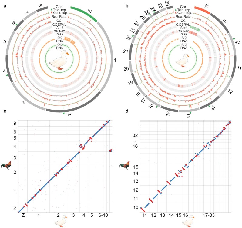 Figure 3: