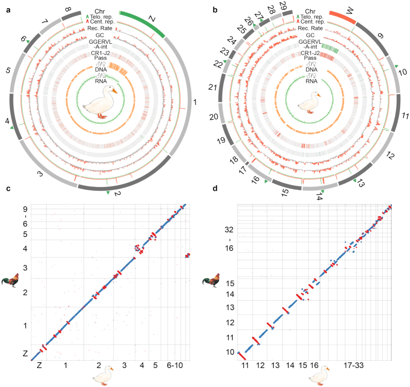 Figure 3: