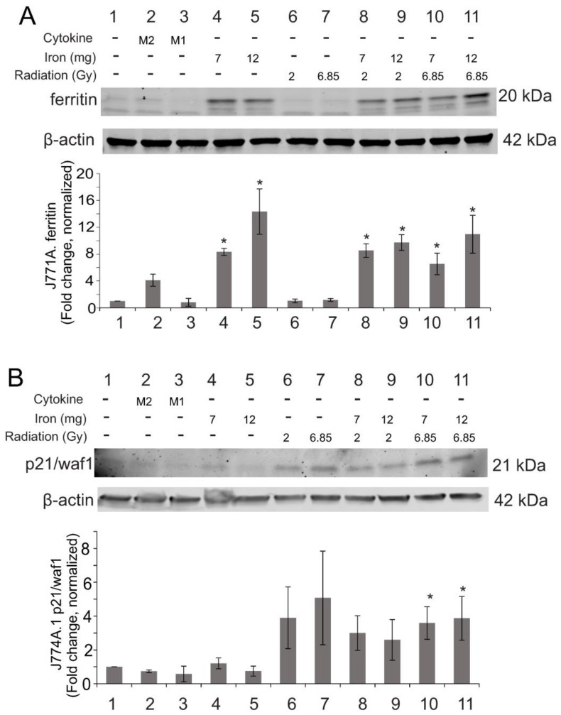 Figure 11