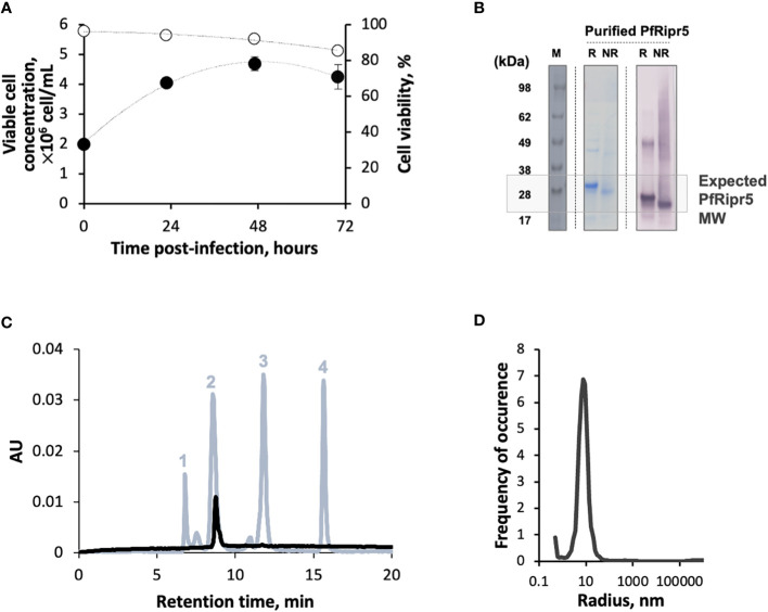 Figure 1