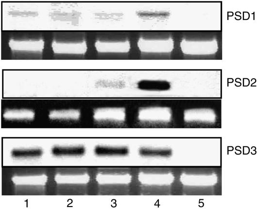 Figure 4.