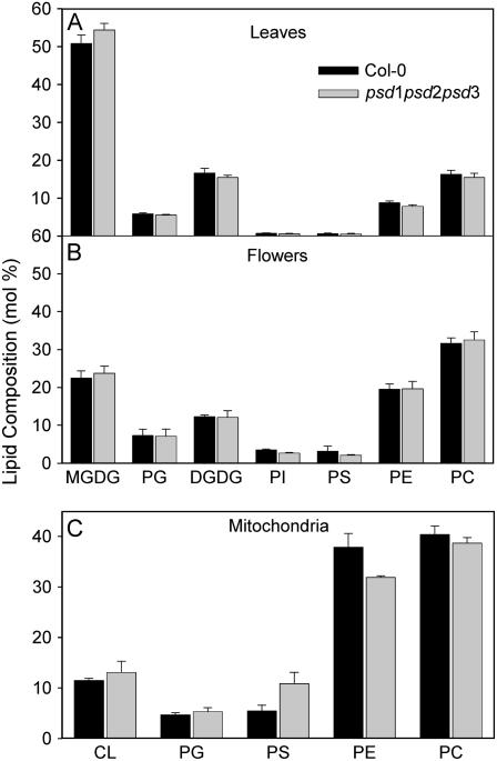 Figure 7.