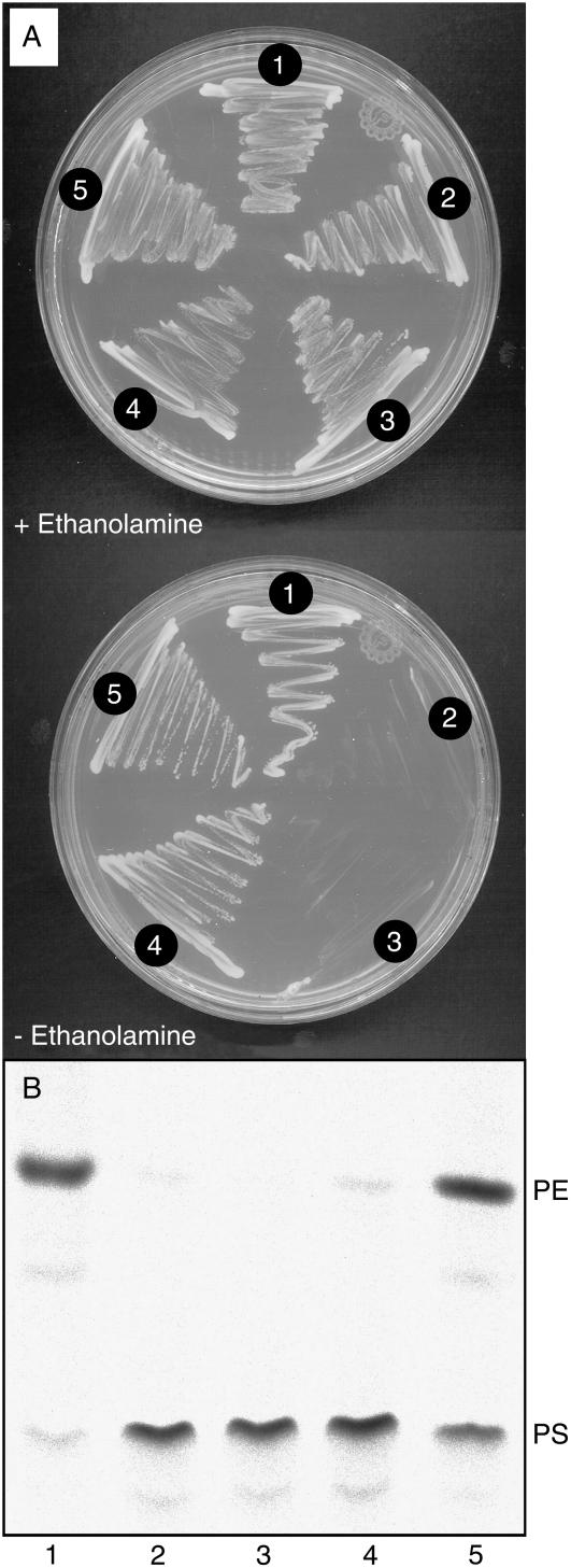 Figure 2.