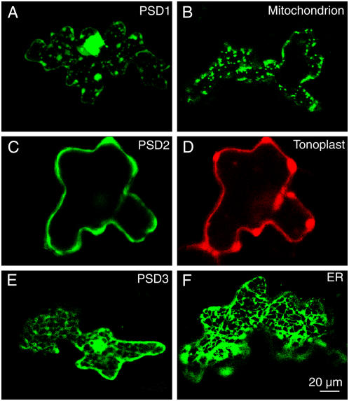 Figure 3.