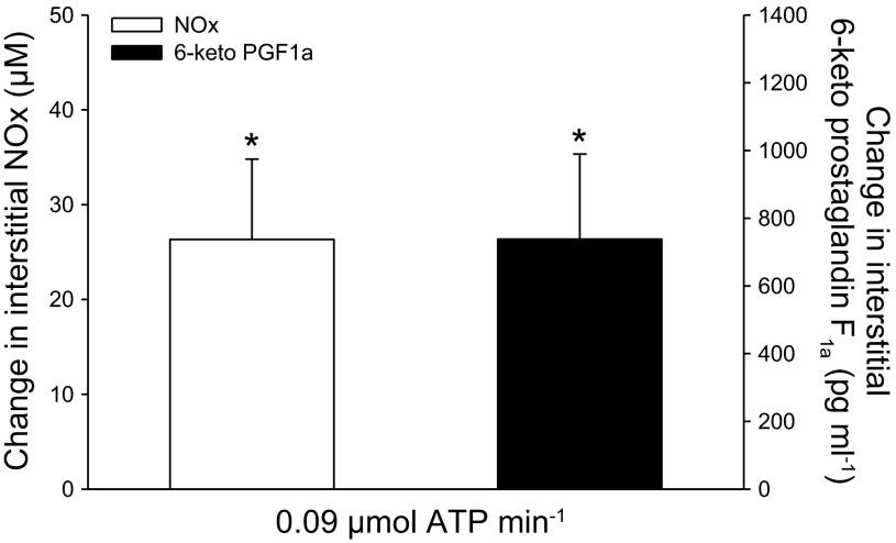 Fig. 5.