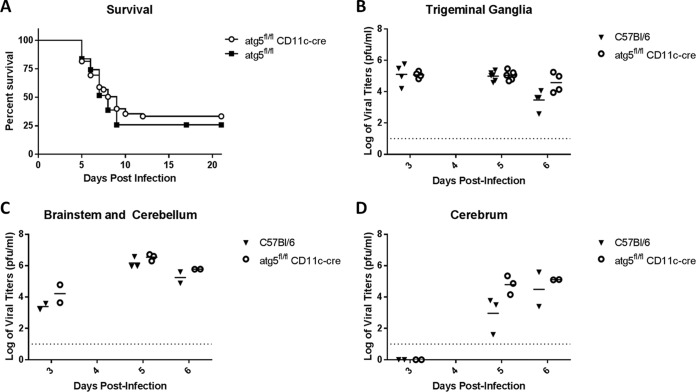 FIG 2 