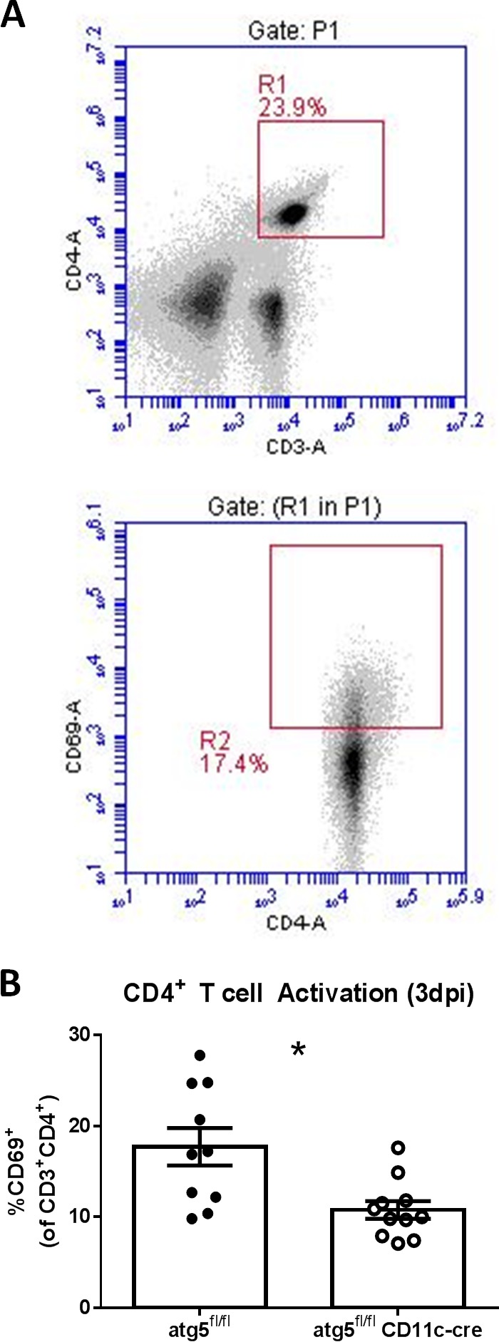 FIG 4 