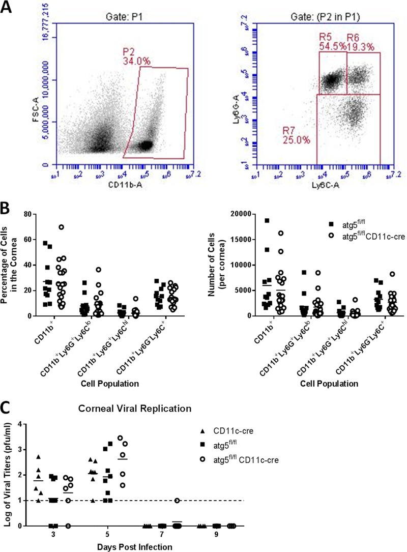 FIG 3 