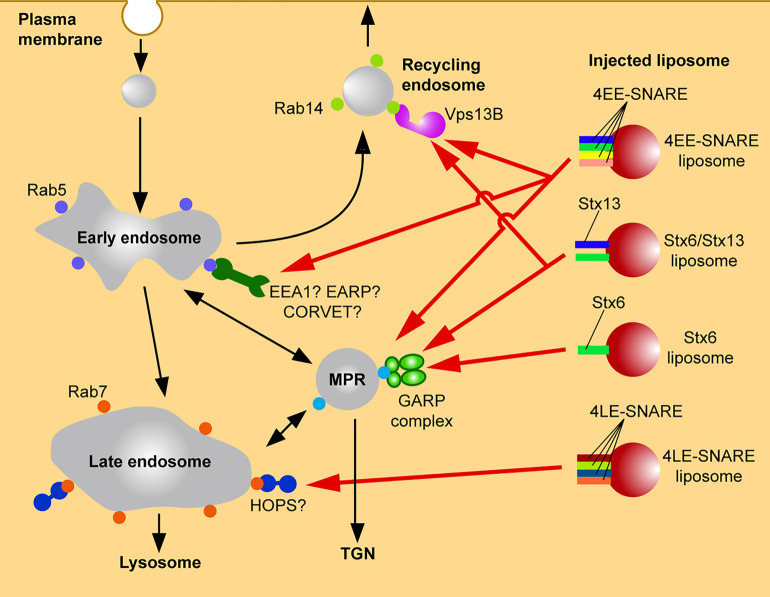 Figure 3.