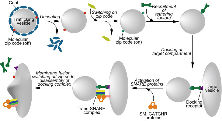 Figure 1.