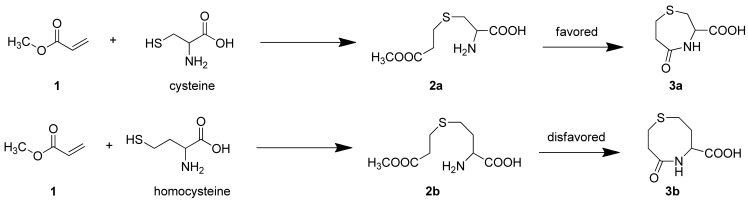 Scheme 1.