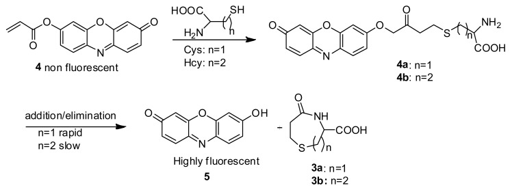 Scheme 3.