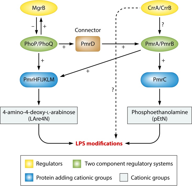 FIG 3