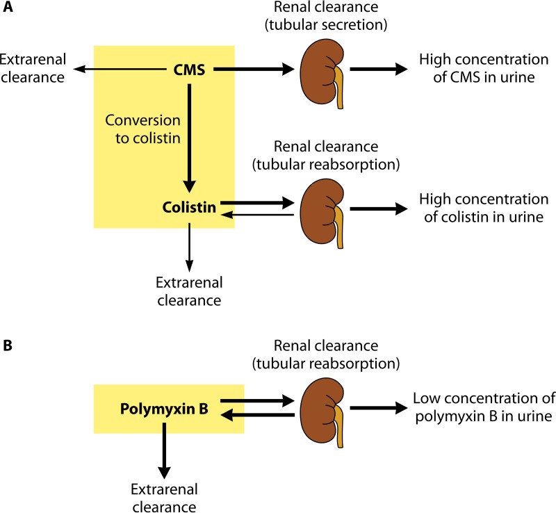 FIG 2