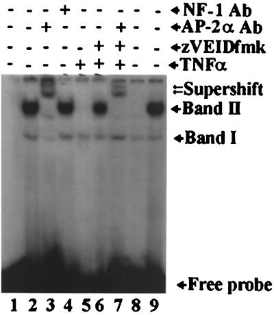 FIG. 10