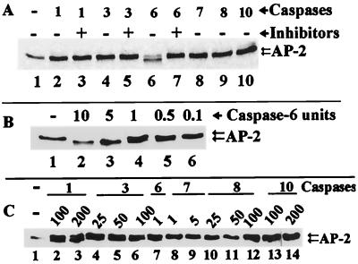 FIG. 5