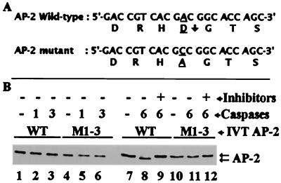 FIG. 9