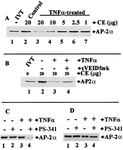 FIG. 8