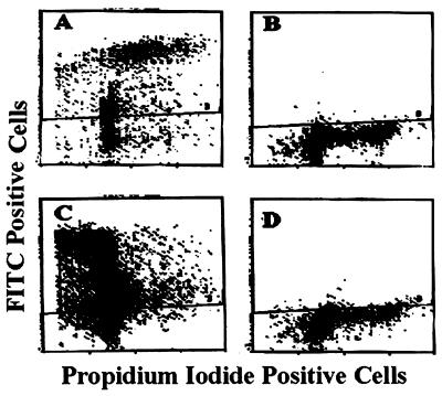 FIG. 7