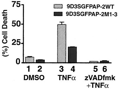 FIG. 11