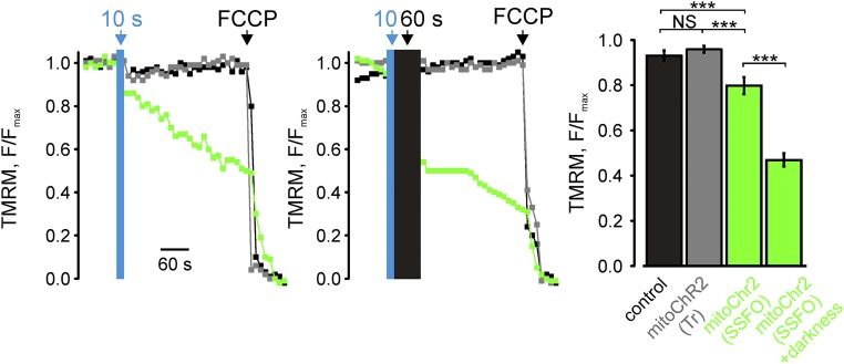 Fig. S6.