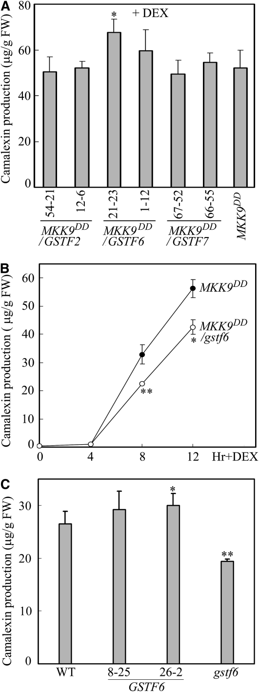 Figure 5.