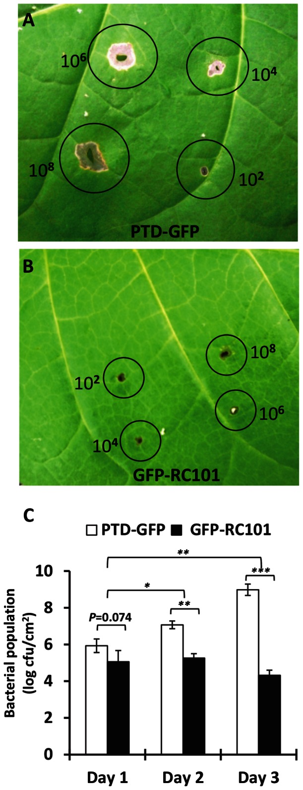 Figure 7