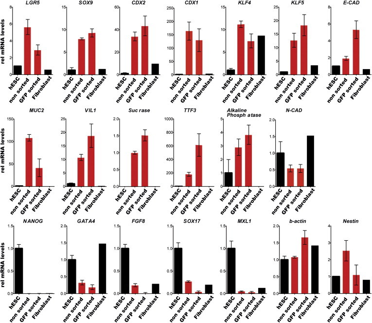 Figure 2