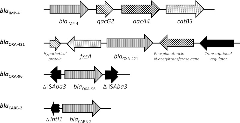 FIG 1