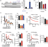 Effective CRY degraders have on- and off-target effects and do not ablate circadian rhythms in bioluminescence in human and mouse cells.