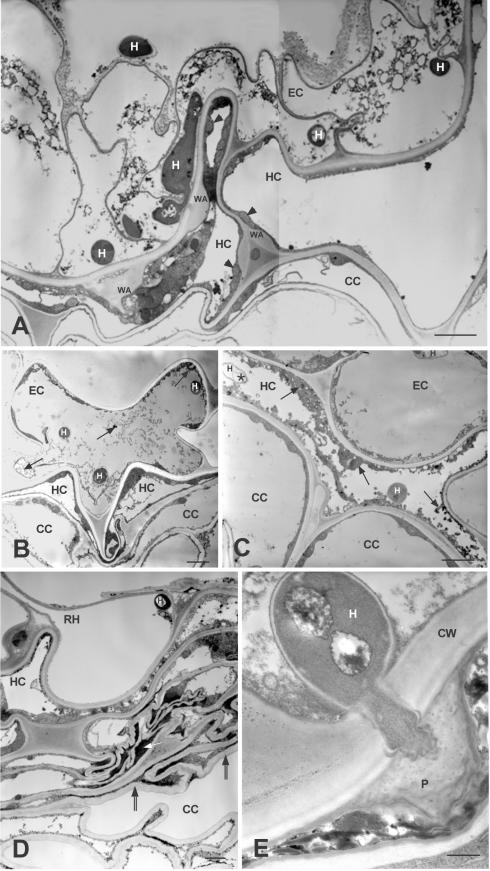 FIG.2.