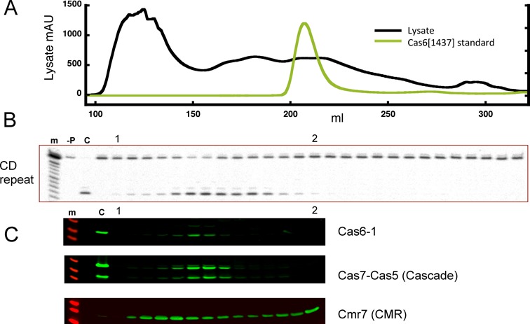 Figure 5.