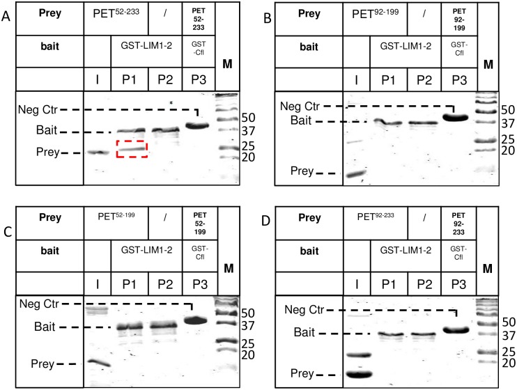 Fig 5