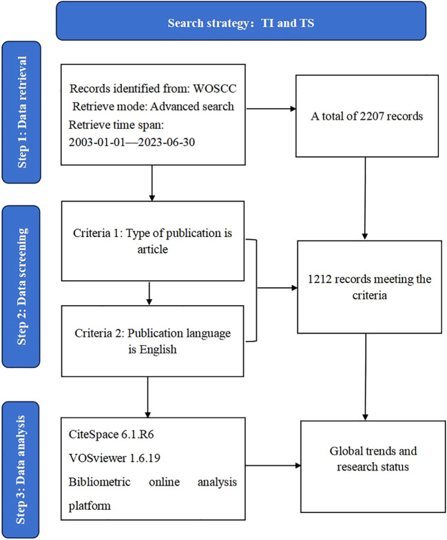 Figure 1