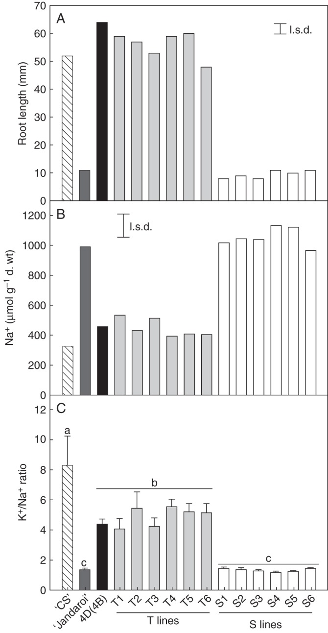 Fig. 1.