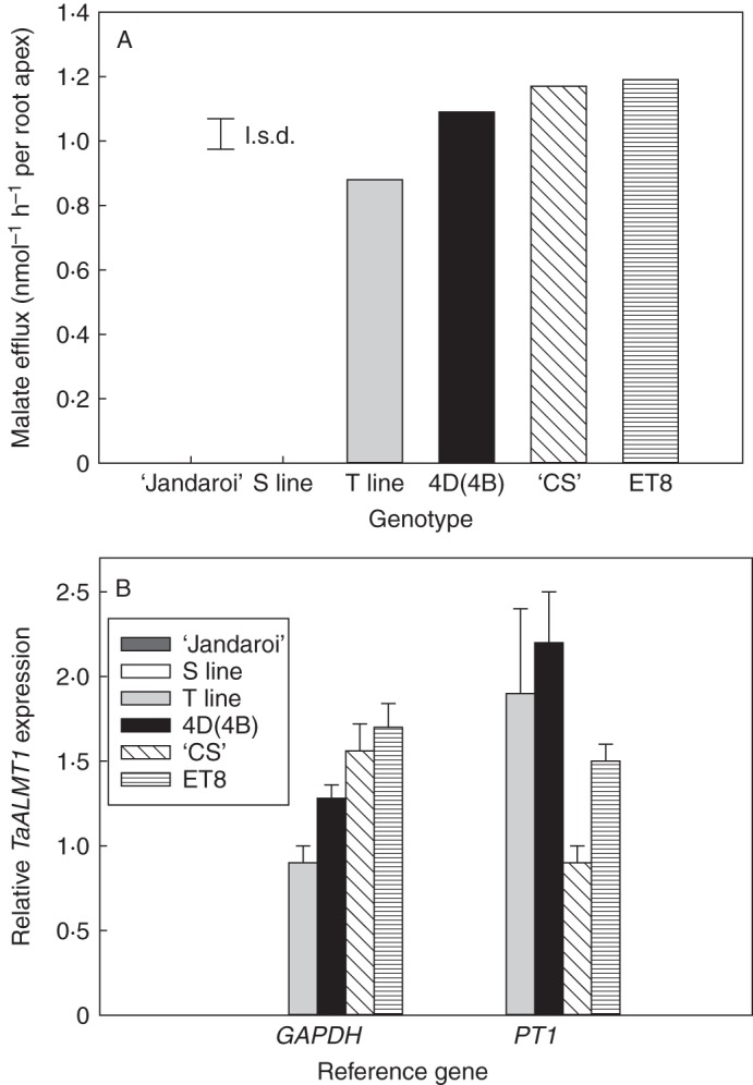 Fig. 3.