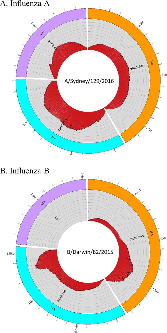 FIG 3