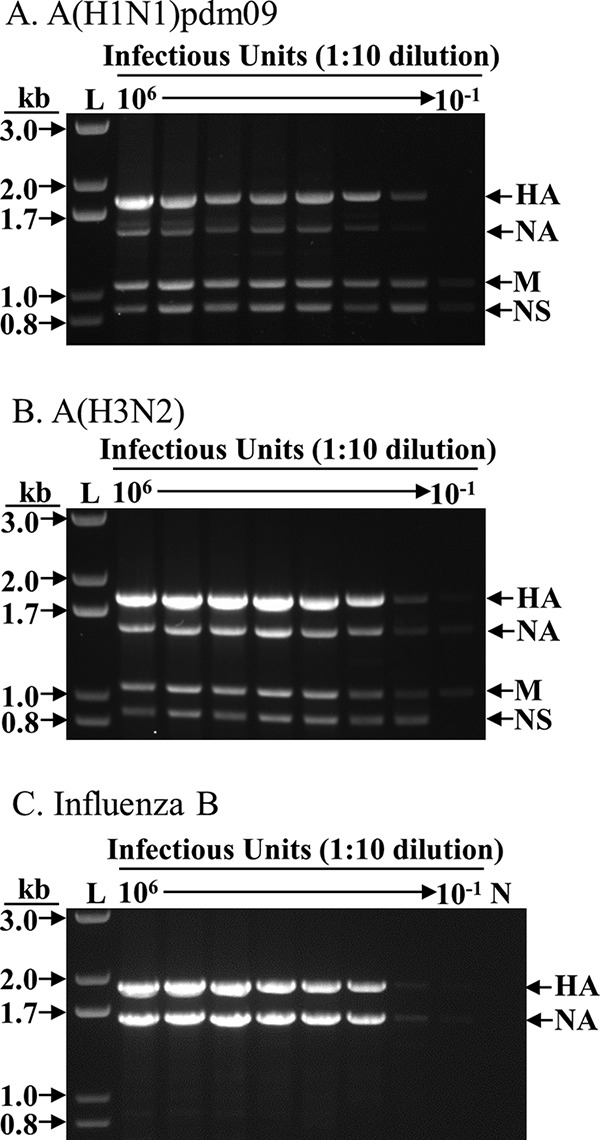 FIG 2