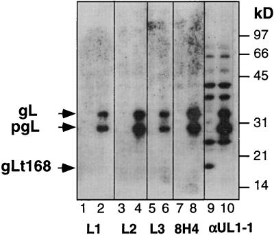 FIG. 5