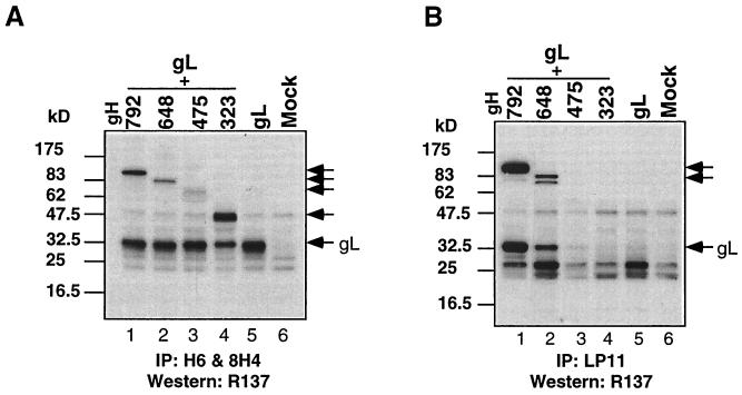 FIG. 9