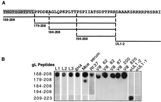 FIG. 6